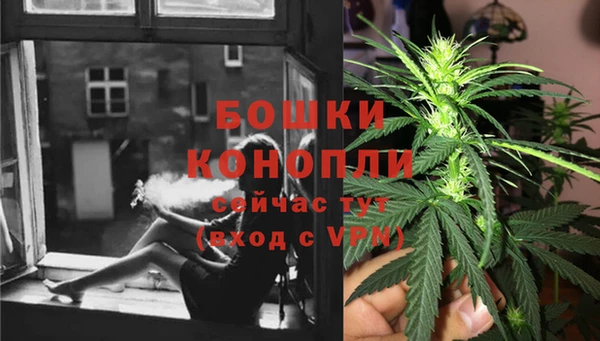 стаф Заволжье