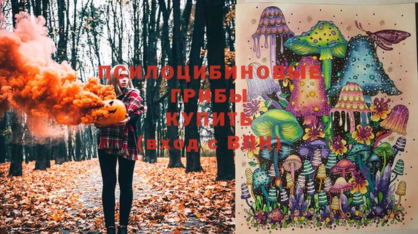 стаф Заволжье