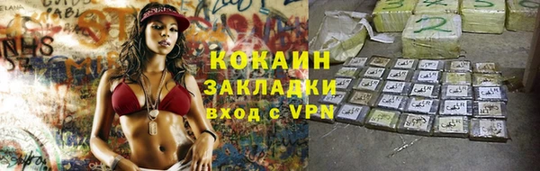 гашик Заводоуковск