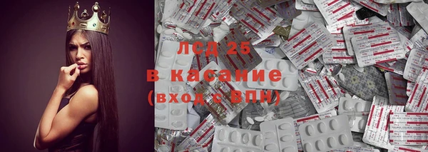 гашик Заводоуковск