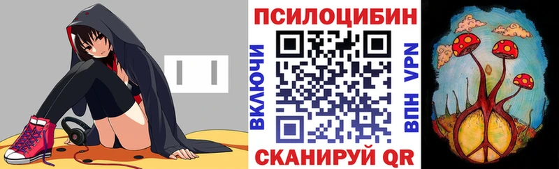 Купить  Дегтярск  Галлюциногенные грибы GOLDEN TEACHER 