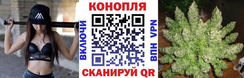 Купить закладки  Дегтярск  Каннабис план 